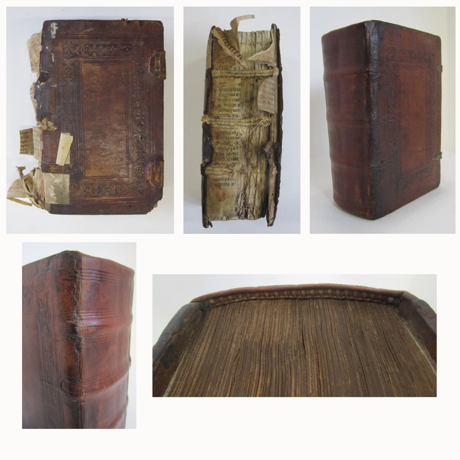 restauration livre 16ème siècle 2